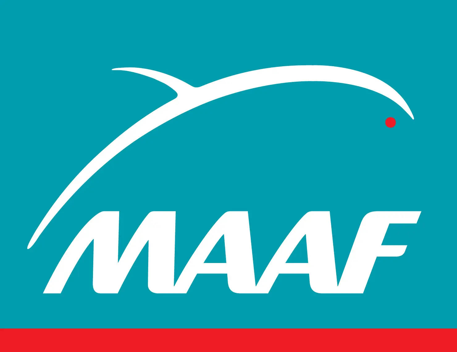 recherche et detection de fuite eau et gaz maaf
