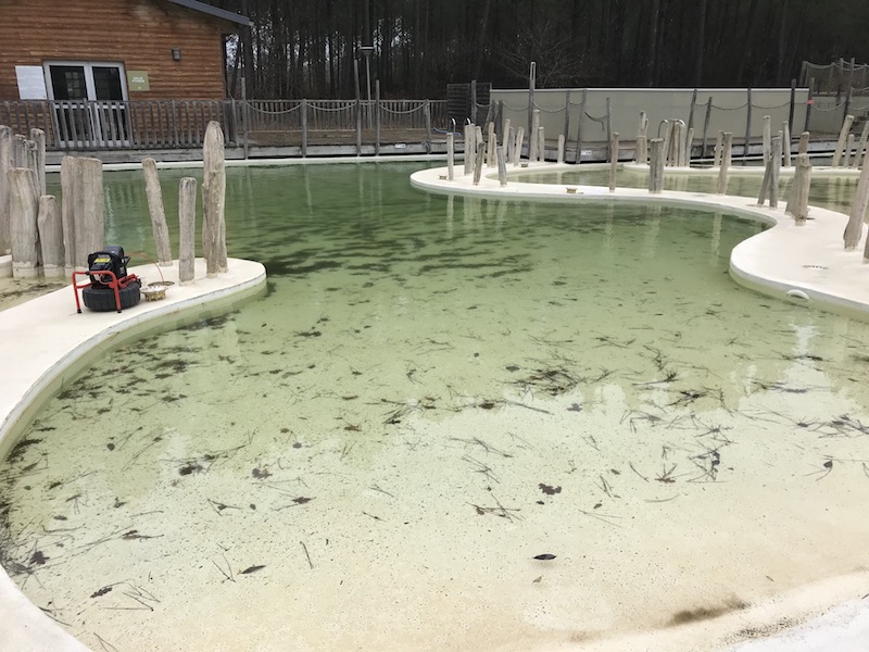 détection et recherche de fuite de piscine anglet biarritz pau bayonne 